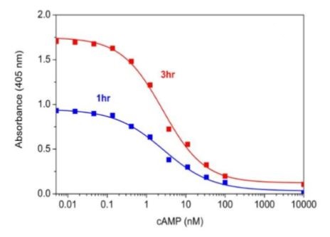 Functional Studies - cAMP Assay Kit (Competitive ELISA) (AB234585)