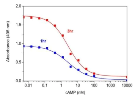 Functional Studies - cAMP Assay Kit (Competitive ELISA) (AB234585)