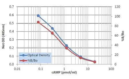 Competitive ELISA - cAMP Assay Kit (Competitive ELISA) (AB290713)