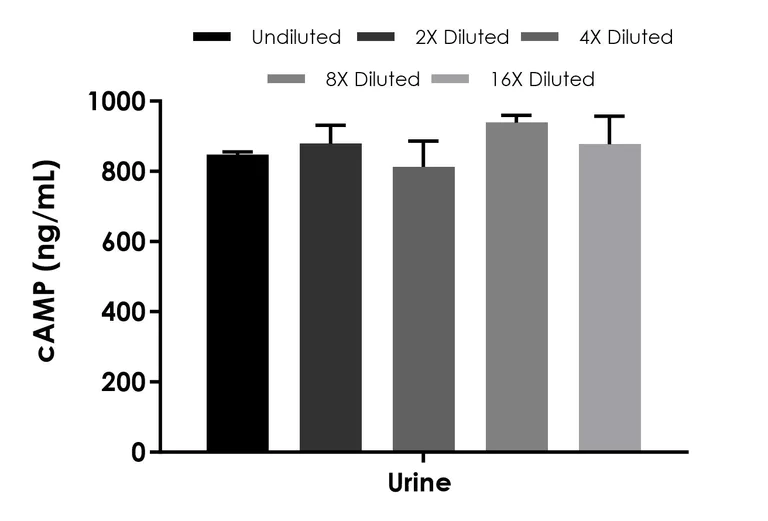 Sandwich ELISA - cAMP ELISA Kit - Extracellular (AB323510)