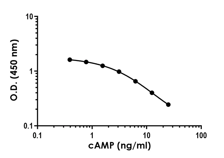 Sandwich ELISA - cAMP ELISA Kit - Intracellular (AB323511)