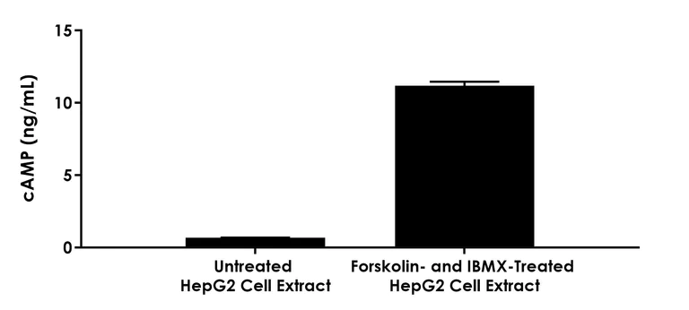 Sandwich ELISA - cAMP ELISA Kit - Intracellular (AB323511)