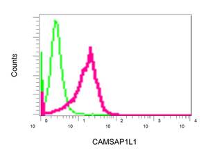 Flow Cytometry (Intracellular) - Anti-CAMSAP2 antibody [EPR7718(B)] (AB140619), expandable thumbnail