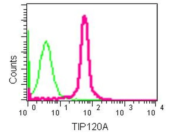 Flow Cytometry (Intracellular) - Anti-CAND1 antibody [EPR14242(B)] - C-terminal (AB181216)