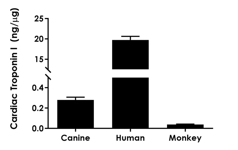 Sandwich ELISA - Canine Cardiac Troponin I ELISA Kit - Intracellular (AB309307)