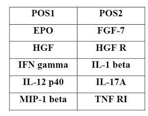 Multiplex Protein Detection - Canine Cytokine Antibody Array B (10 Targets) - Quantitative (AB197412)