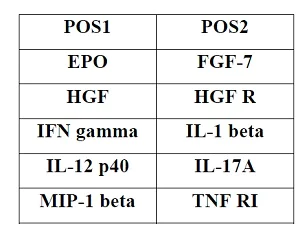 Multiplex Protein Detection - Canine Cytokine Antibody Array B (10 Targets) - Quantitative (AB197412)