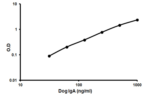 Sandwich ELISA - Canine IgA ELISA Kit (AB157699)