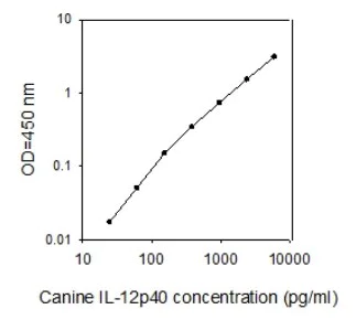Sandwich ELISA - Canine IL-12p40 ELISA Kit (AB273179)