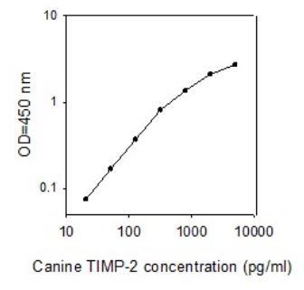 Sandwich ELISA - Canine TIMP2 ELISA Kit (AB273176), expandable thumbnail