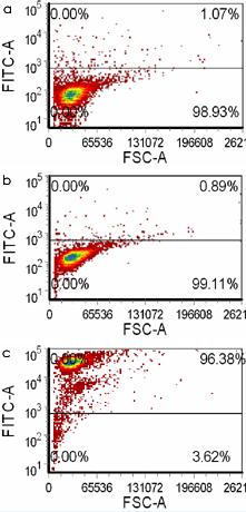 Flow Cytometry - Anti-CAP1 antibody (AB88446)
