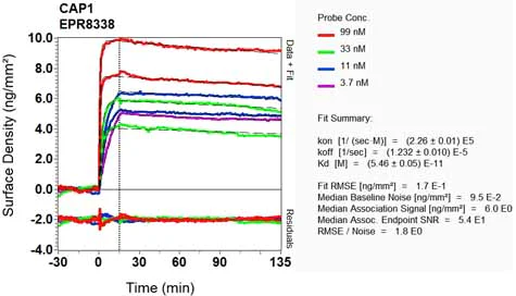 OI-RD Scanning - Anti-CAP1 antibody [EPR8338] - BSA and Azide free (AB232037)