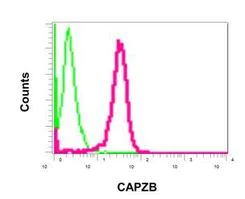 Flow Cytometry (Intracellular) - Anti-CAPZB antibody [EPR10236] - BSA and Azide free (AB249865)