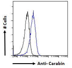 Flow Cytometry (Intracellular) - Anti-carabin antibody (AB77625)