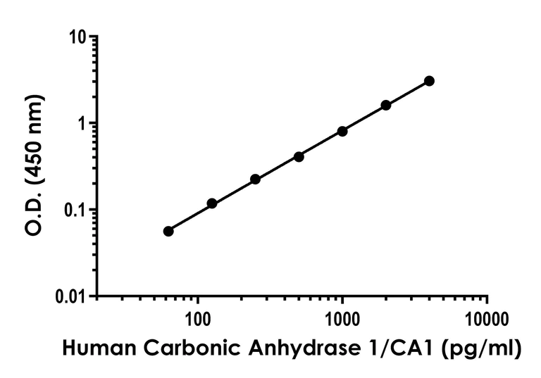 Sandwich ELISA - Anti-Carbonic Anhydrase 1/CA1 antibody [EPR23232-14] - BSA and Azide free (Capture) (AB281221)