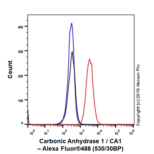 Flow Cytometry (Intracellular) - Anti-Carbonic Anhydrase 1/CA1 antibody [EPR23232-286] - BSA and Azide free (AB269951)