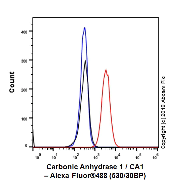 Flow Cytometry (Intracellular) - Anti-Carbonic Anhydrase 1/CA1 antibody [EPR23232-286] - BSA and Azide free (AB269951)