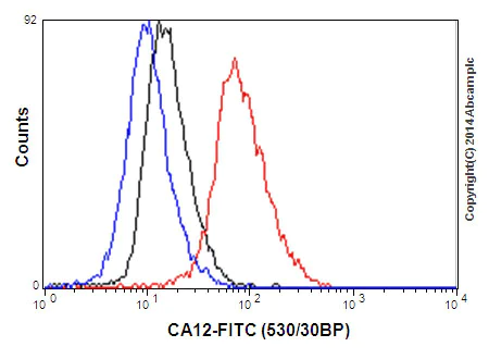 Flow Cytometry (Intracellular) - Anti-Carbonic Anhydrase 12/CA12 antibody [EPR14861] - C-terminal (AB195233)