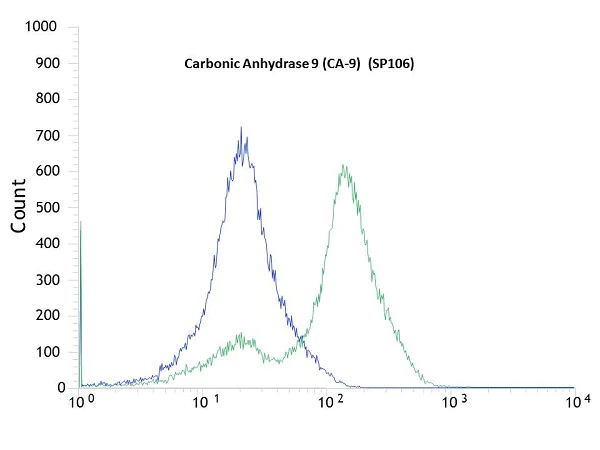 Flow Cytometry - Anti-Carbonic Anhydrase 9/CA9 antibody [SP106] (AB105226)