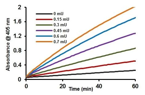 功能研究 - 二氧化碳酵素(CA)活性測定試劑盒(比色法) (AB284550)