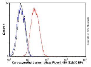 Flow Cytometry - Anti-Carboxymethyl Lysine antibody [CML26] (AB125145)