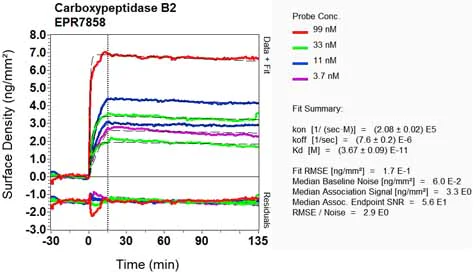 OI-RD Scanning - Anti-Carboxypeptidase B2 antibody [EPR7858] - BSA and Azide free (AB248612)