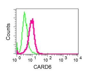 Flow Cytometry (Intracellular) - Anti-CARD6 antibody [EPR9718] (AB151560)
