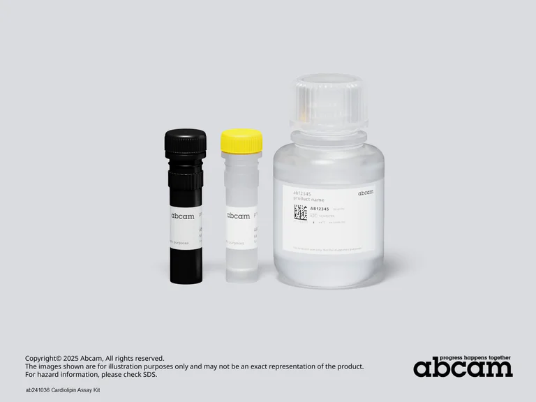 Schematic Diagram - Cardiolipin Assay Kit (AB241036)