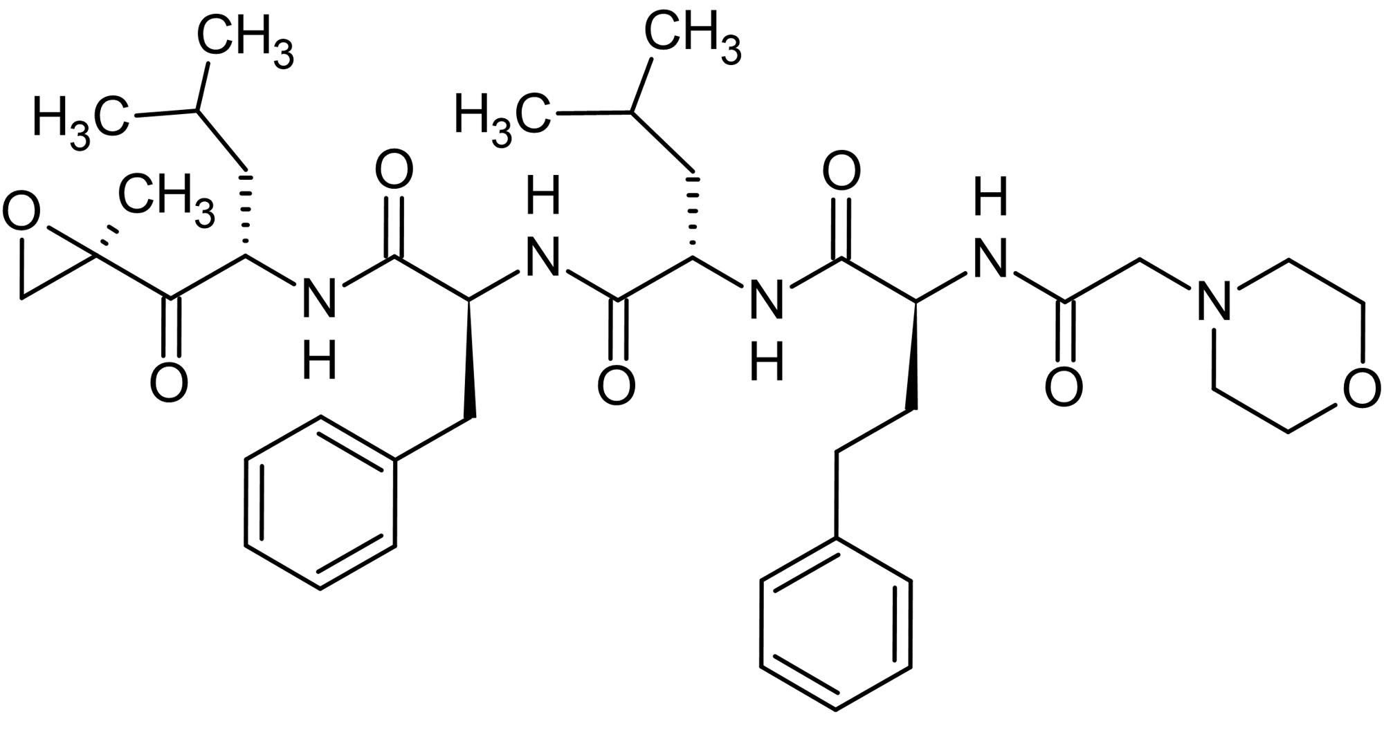 Carfilzomib, proteasome inhibitor