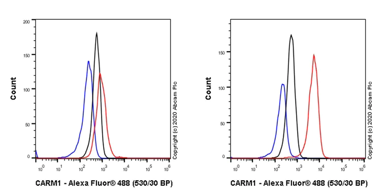 Flow Cytometry (Intracellular) - Anti-CARM1 antibody [EPR23678-113] - BSA and Azide free (AB279344)