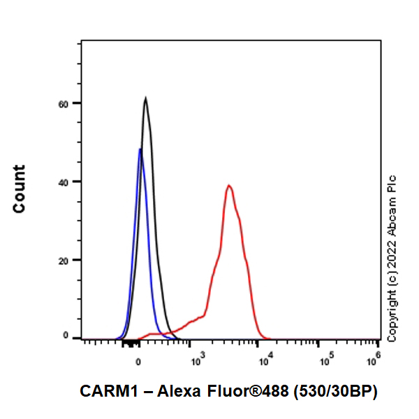 Flow Cytometry (Intracellular) - Anti-CARM1 antibody [EPR26711-36] (ab307091), expandable thumbnail