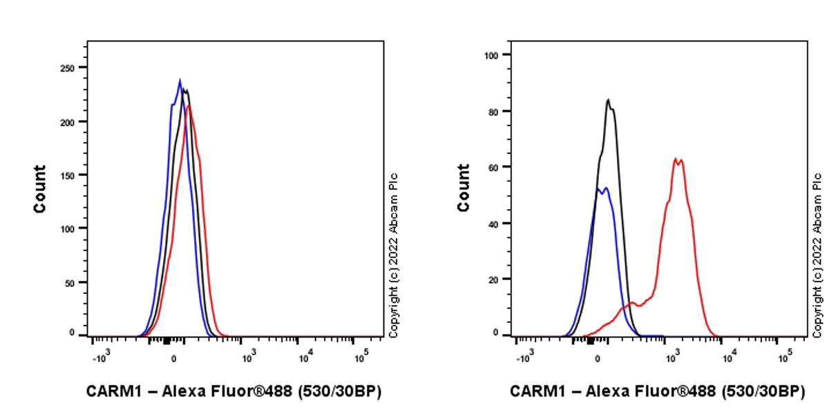 Flow Cytometry (Intracellular) - Anti-CARM1 antibody [EPR26711-36] (ab307091), expandable thumbnail