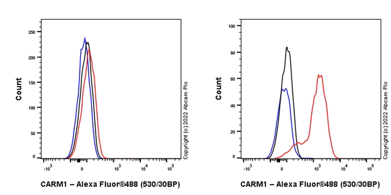 Flow Cytometry (Intracellular) - Anti-CARM1 antibody [EPR26711-36] - BSA and Azide free (AB307092)