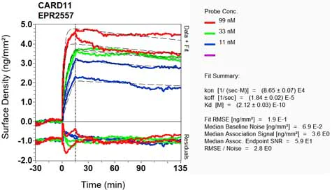 OI-RD Scanning - Anti-Carma 1/CARD11 antibody [EPR2557] - BSA and Azide free (AB247985)
