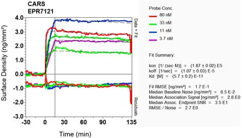 OI-RD Scanning - Anti-CARS antibody [EPR7121] - BSA and Azide free (AB248142)