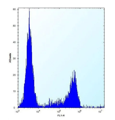 Flow Cytometry (Intracellular) - Anti-CASC4 antibody - C-terminal (AB230522)