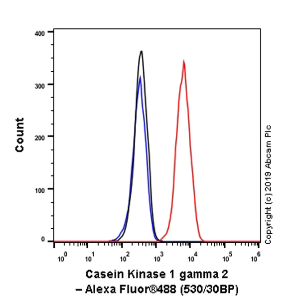 Flow Cytometry (Intracellular) - Anti-Casein Kinase 1 gamma 2 antibody [EPR20918-13] - BSA and Azide free (AB270040)