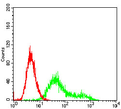 Flow Cytometry - Anti-Casein Kinase 2 beta antibody [2F12F3] (AB201990)