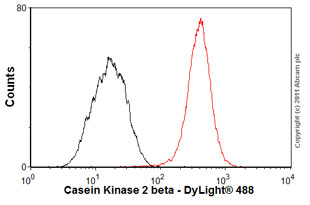 Flow Cytometry (Intracellular) - Anti-Casein Kinase 2 beta antibody [EP1995Y] - BSA and Azide free (AB239872)
