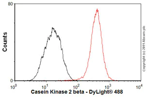 Flow Cytometry (Intracellular) - Anti-Casein Kinase 2 beta antibody [EP1995Y] - BSA and Azide free (AB239872)