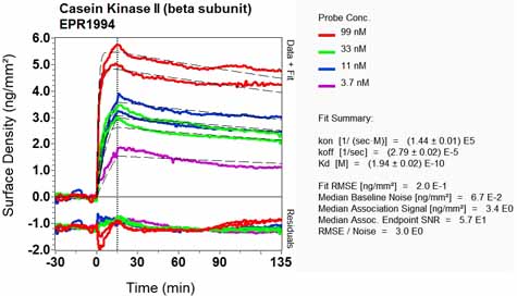 OI-RD Scanning - Anti-Casein Kinase 2 beta antibody [EPR1994] (AB133576), expandable thumbnail