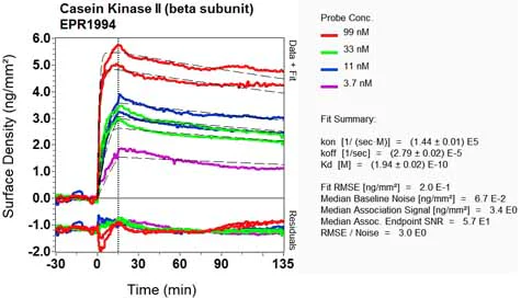 OI-RD Scanning - Anti-Casein Kinase 2 beta antibody [EPR1994] (AB133576)