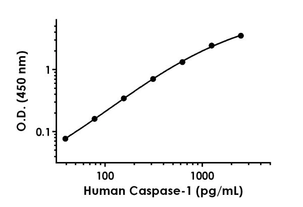 Sandwich ELISA - Anti-Caspase-1 antibody [EPR19672-53] - BSA and Azide free (Detector) (AB242927)