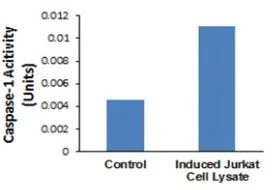 Functional Studies - Caspase-1 Assay Kit (Colorimetric) (AB273268)