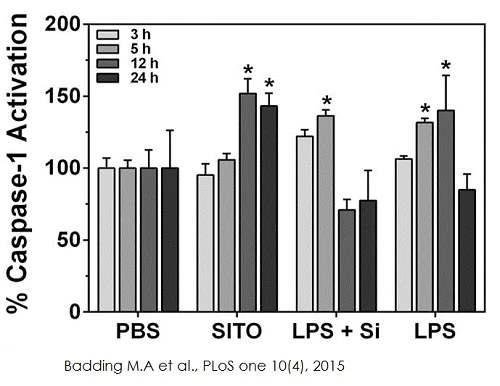 Functional Studies - Caspase-1 Assay Kit (Fluorometric) (AB39412)