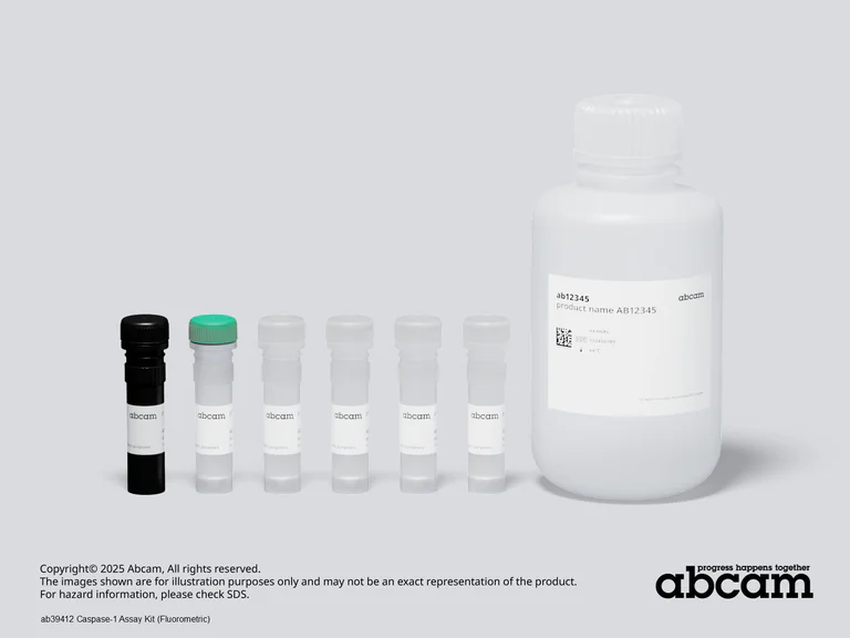 Other - Caspase-1 Assay Kit (Fluorometric) (AB39412)