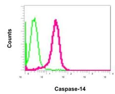 Flow Cytometry (Intracellular) - Anti-Caspase-14 antibody [EPR12927] - BSA and Azide free (AB249835)