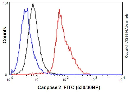 Flow Cytometry (Intracellular) - Anti-Caspase-2L antibody [EPR16790] (AB179519)