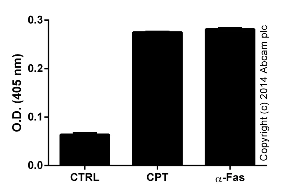 Functional Studies - Caspase-3 Assay Kit (Colorimetric) (AB39401)