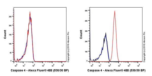 Flow Cytometry (Intracellular) - Anti-Caspase-4 antibody [EPR20921-83] - BSA and Azide free (AB256303)